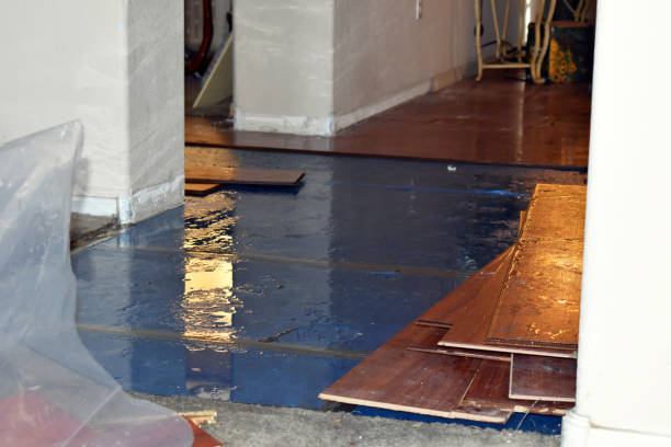 Professional Water Extraction technician working in Elberta, MI